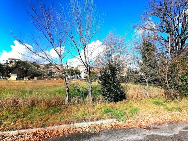 terreno agricolo in vendita a Monte Porzio