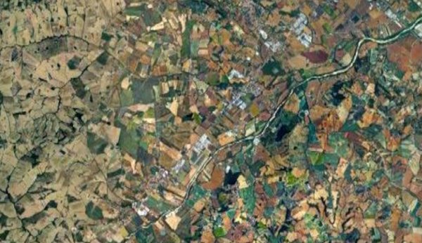 terreno agricolo in vendita a Monte Porzio