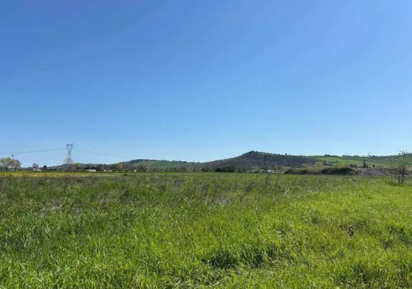 terreno agricolo in vendita a Monte Porzio