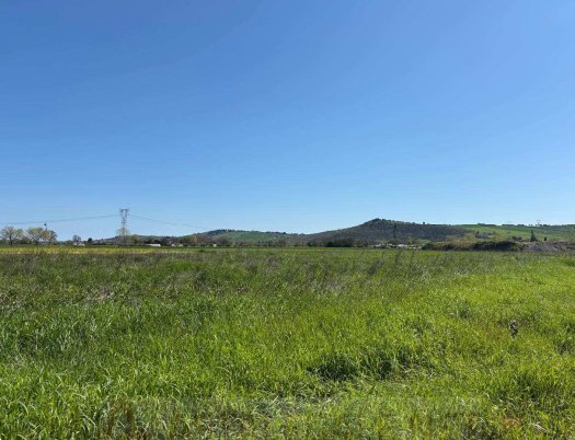 terreno agricolo in vendita a Monte Porzio