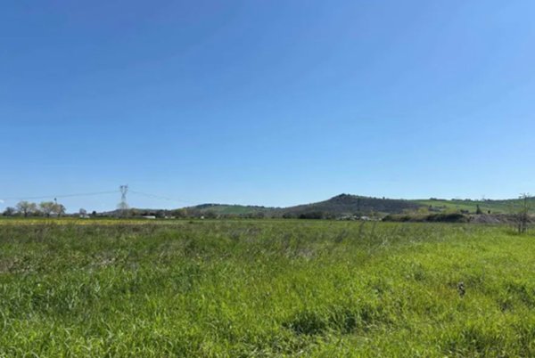 terreno agricolo in vendita a Monte Porzio