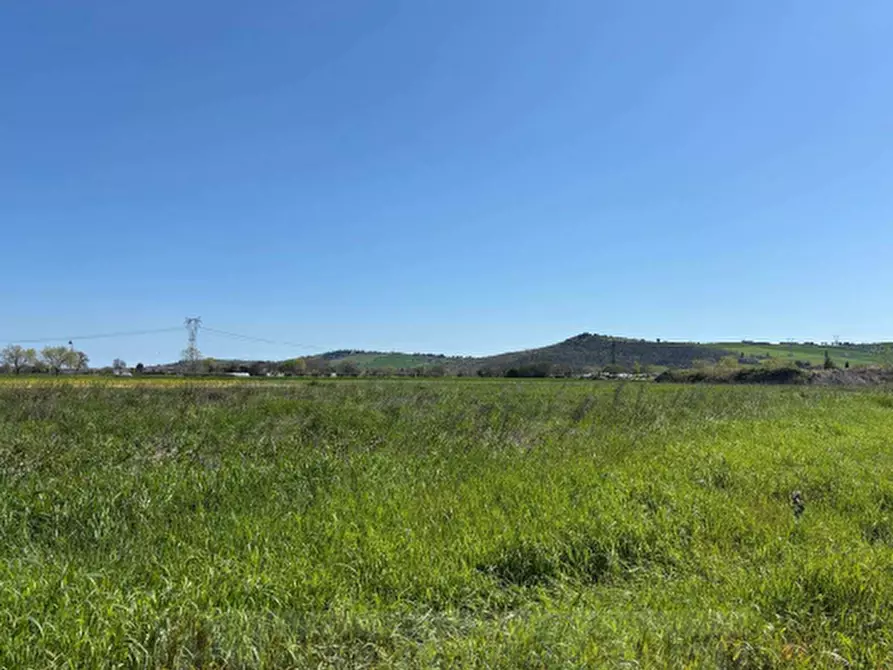 terreno agricolo in vendita a Monte Porzio