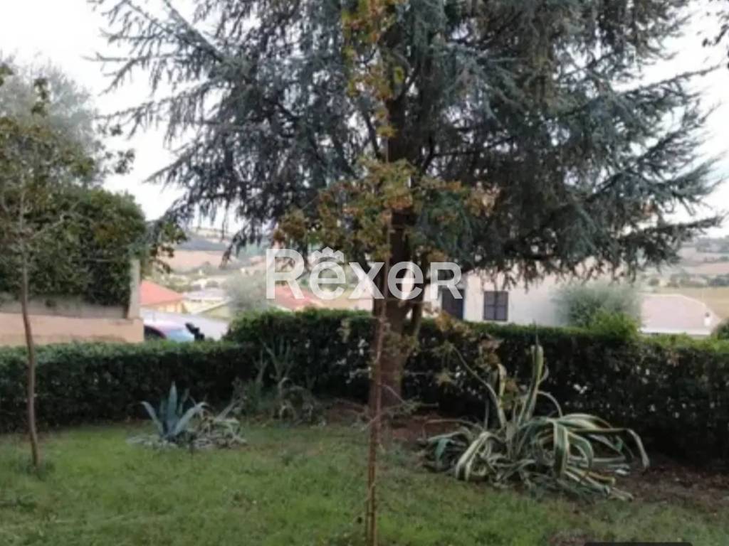 casa indipendente in vendita a Monte Porzio in zona Castelvecchio
