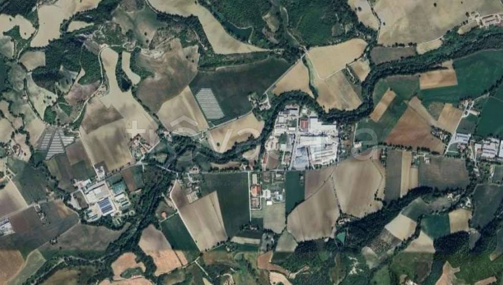 terreno agricolo in vendita a Peglio(PU)