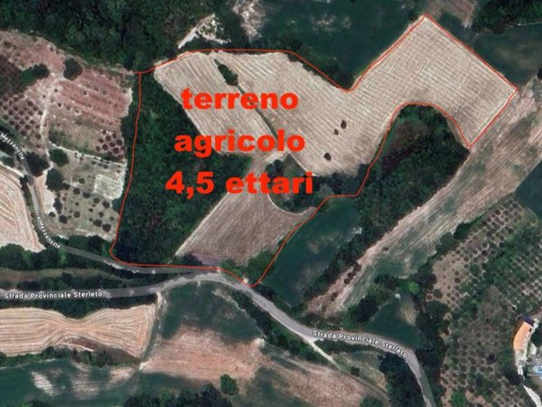 terreno agricolo in vendita a Pergola in zona Mezzanotte