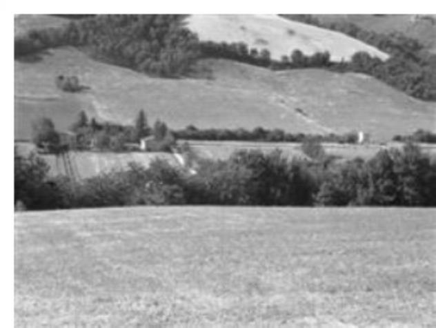 terreno agricolo in vendita a Pergola