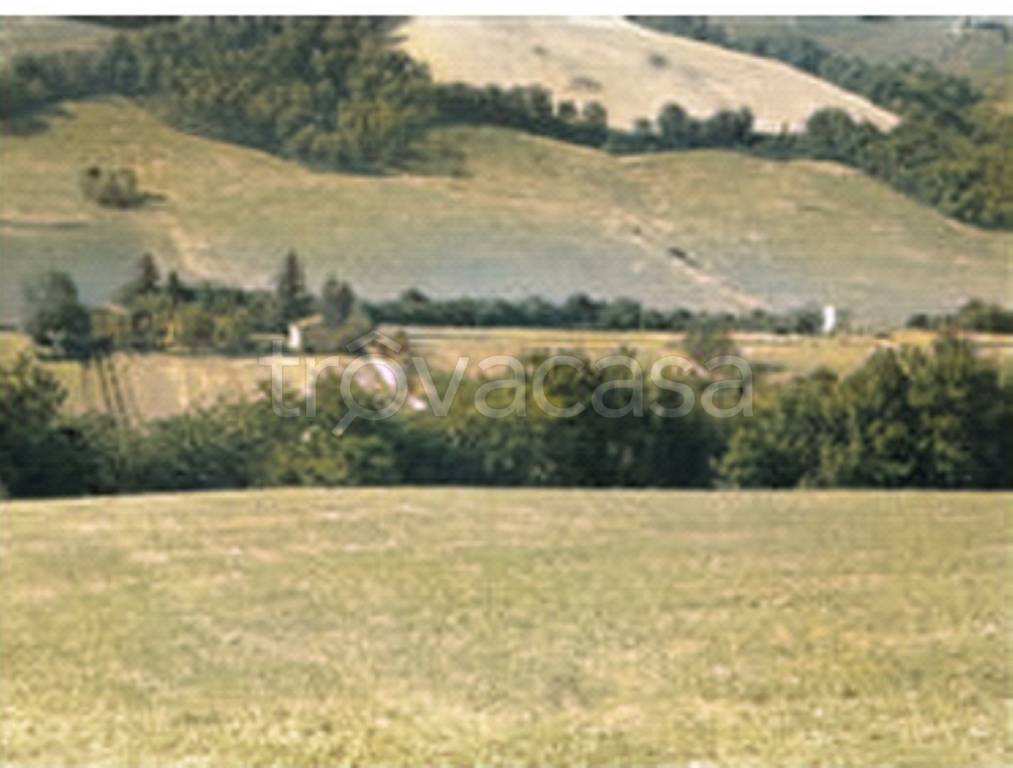 terreno agricolo in vendita a Pergola