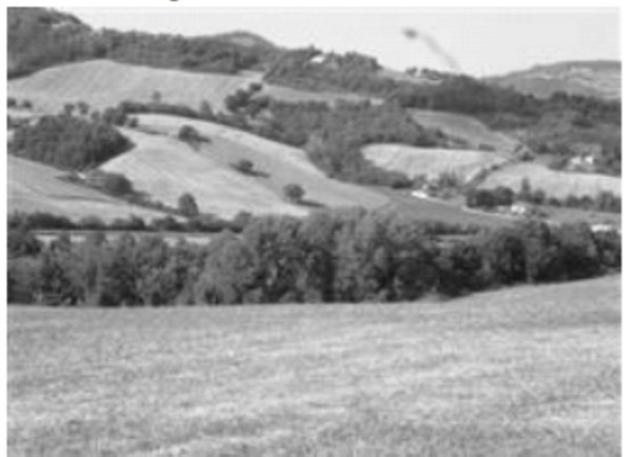 terreno agricolo in vendita a Pergola