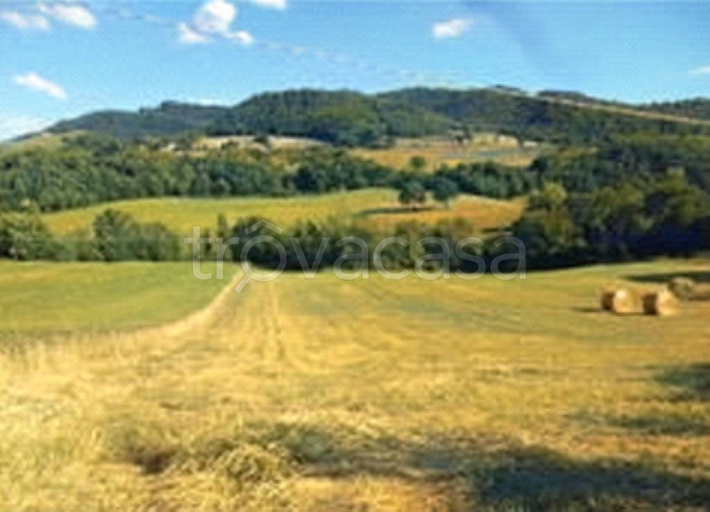 terreno agricolo in vendita a Pergola