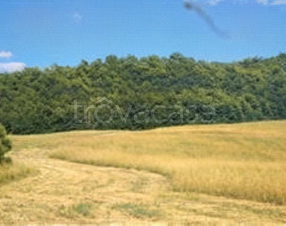 terreno agricolo in vendita a Pergola