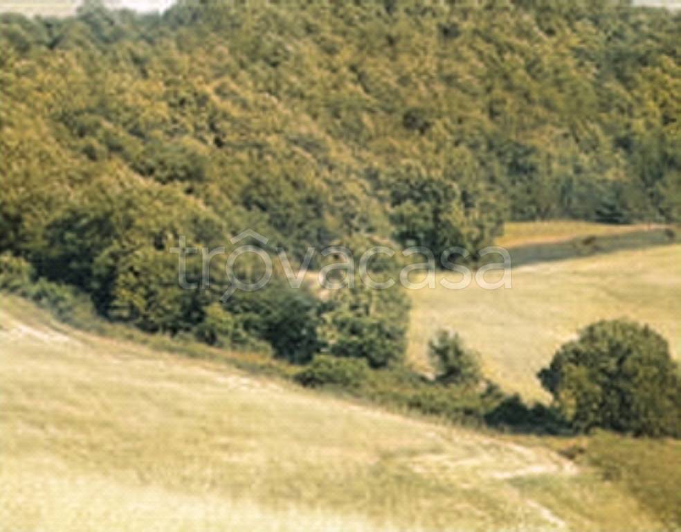 terreno agricolo in vendita a Pergola