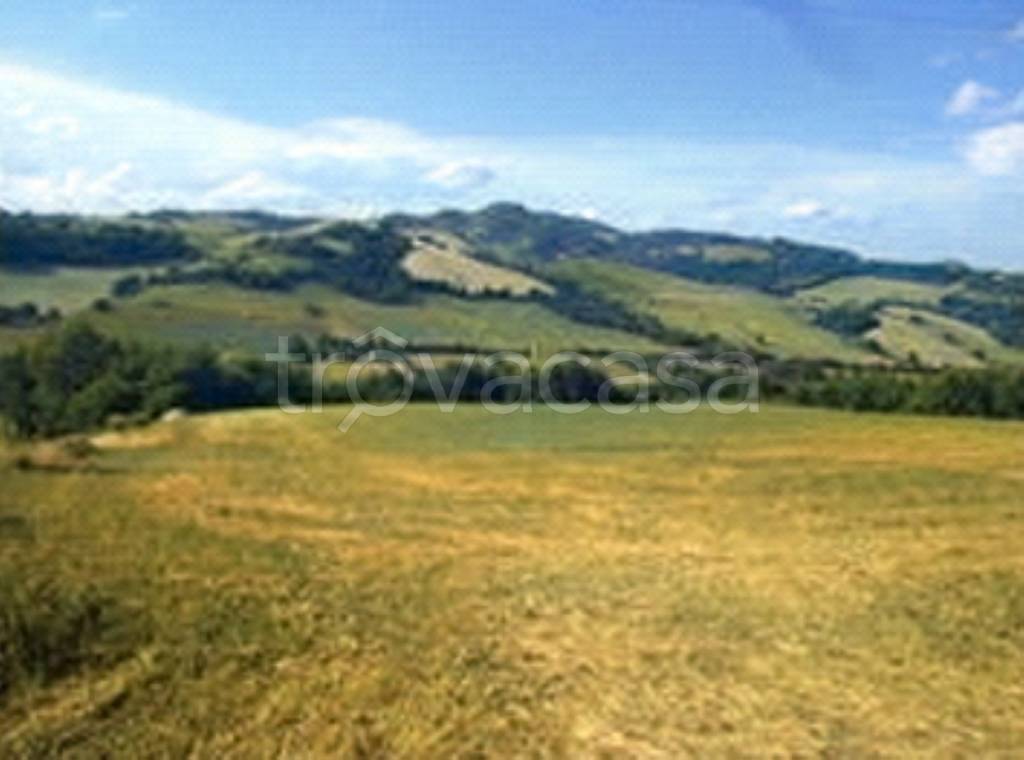 terreno agricolo in vendita a Pergola