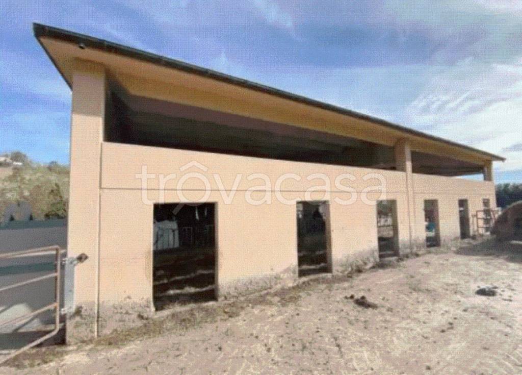 locale commerciale in vendita a Pergola