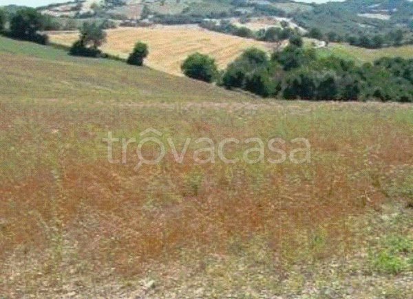 appartamento in vendita a Pergola in zona Montevecchio
