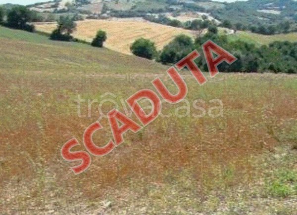 appartamento in vendita a Pergola in zona Montevecchio