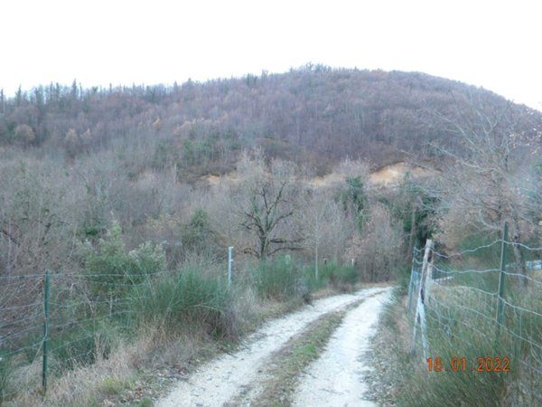 terreno agricolo in vendita a Pergola in zona Bellisio Solfare