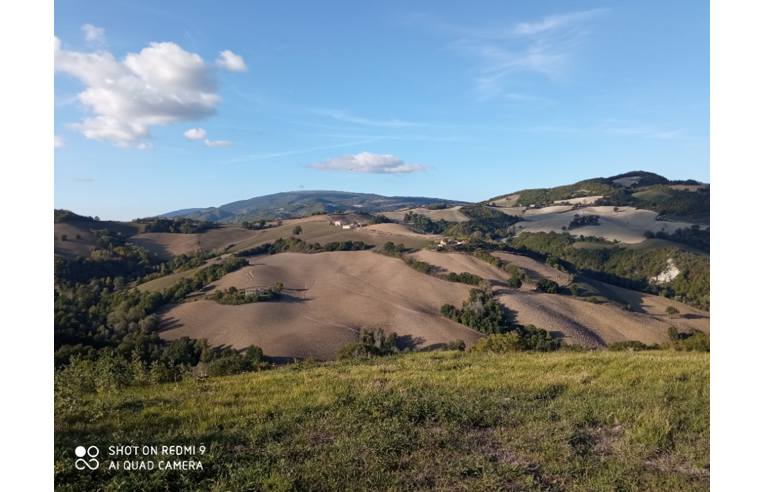 casa indipendente in vendita a Pergola