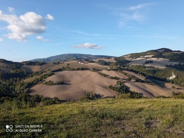 casa indipendente in vendita a Pergola