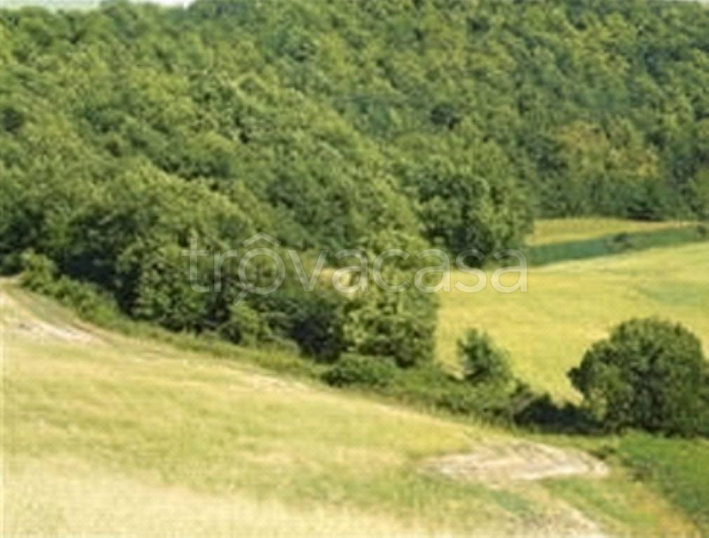 terreno agricolo in vendita a Pergola