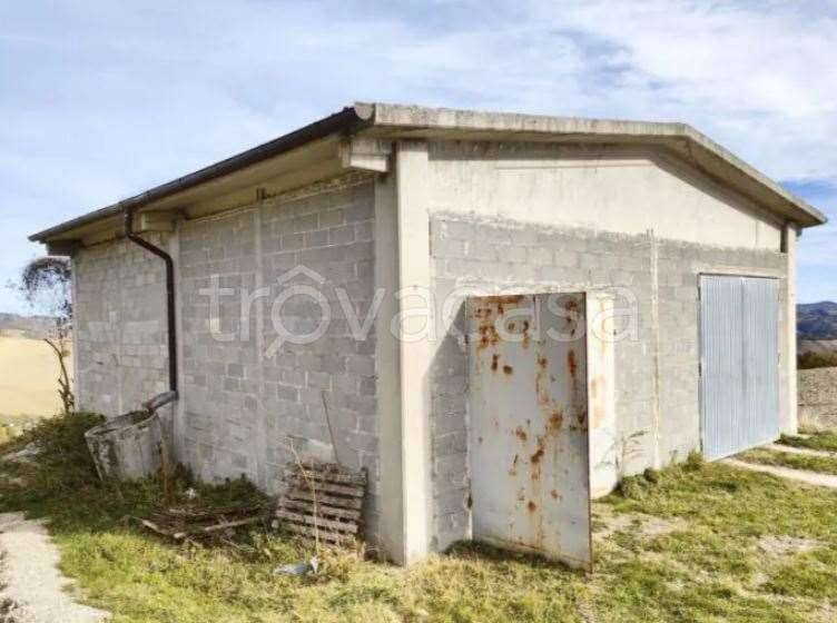 terreno agricolo in vendita a Pergola in zona Fenigli