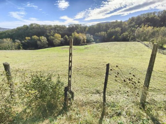 terreno agricolo in vendita a Pergola