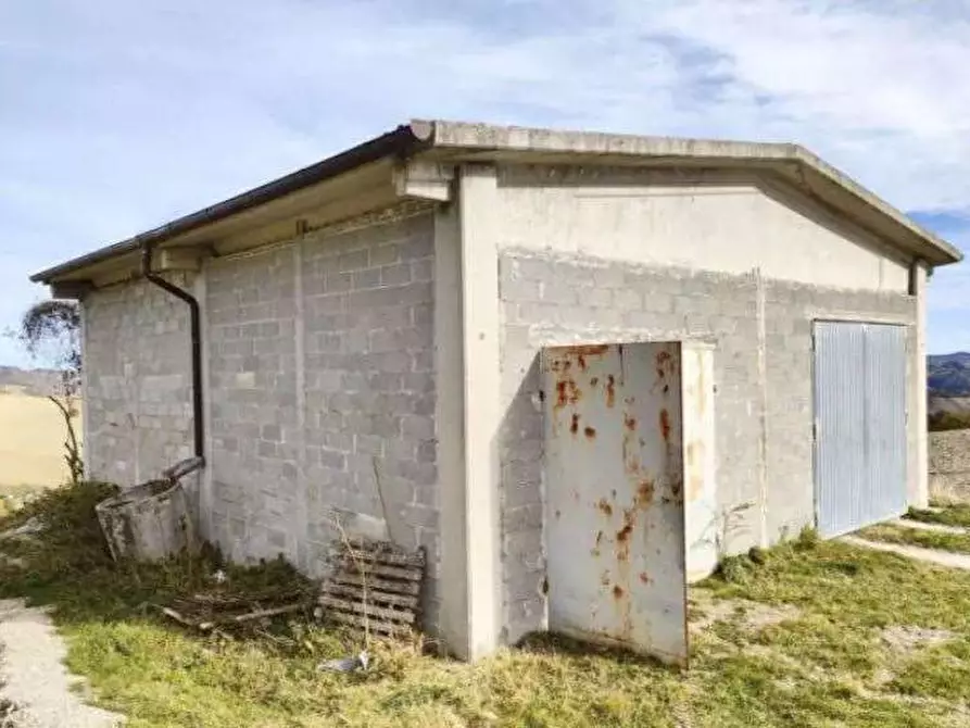 terreno agricolo in vendita a Pergola in zona Fenigli