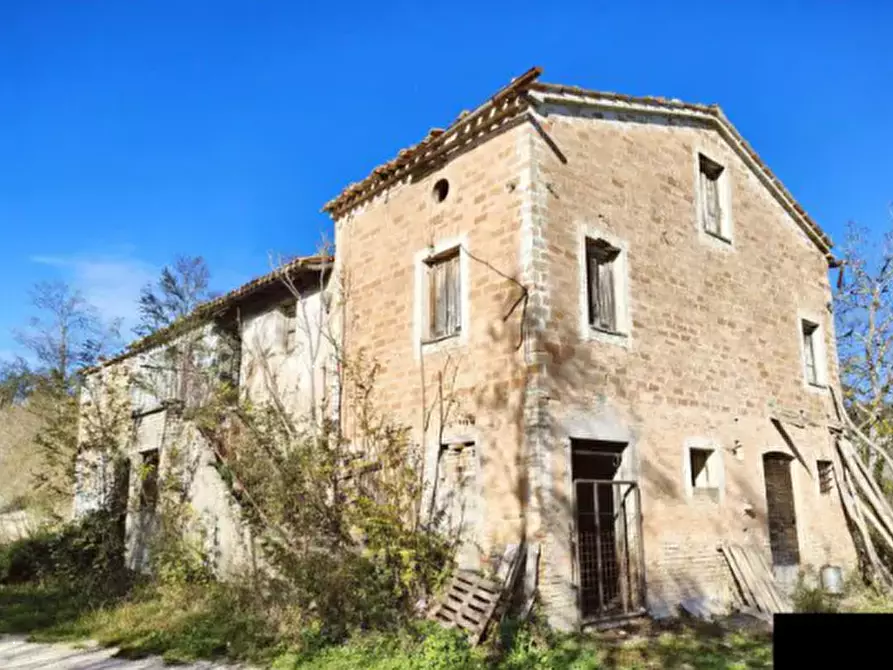 terreno agricolo in vendita a Pergola