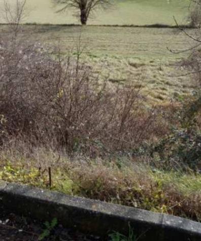 terreno agricolo in vendita a Pergola in zona Pantana