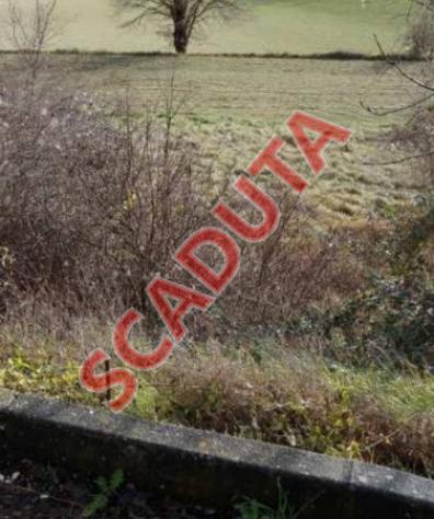 terreno agricolo in vendita a Pergola in zona Pantana
