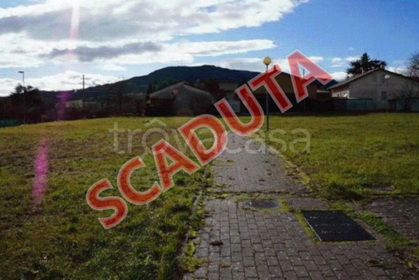terreno agricolo in vendita a Pergola in zona Pantana