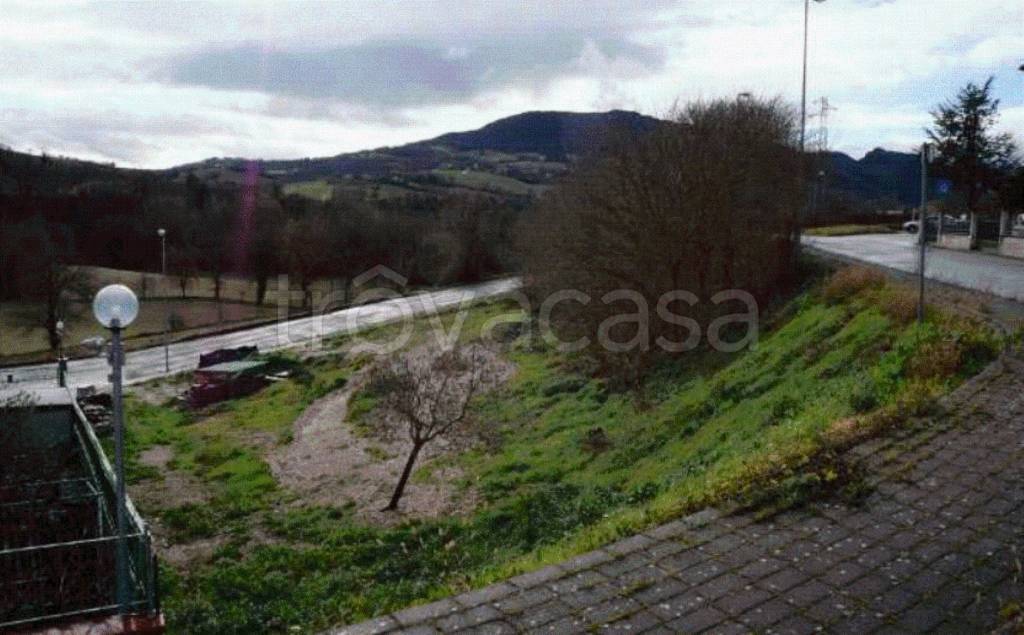terreno agricolo in vendita a Pergola in zona Pantana