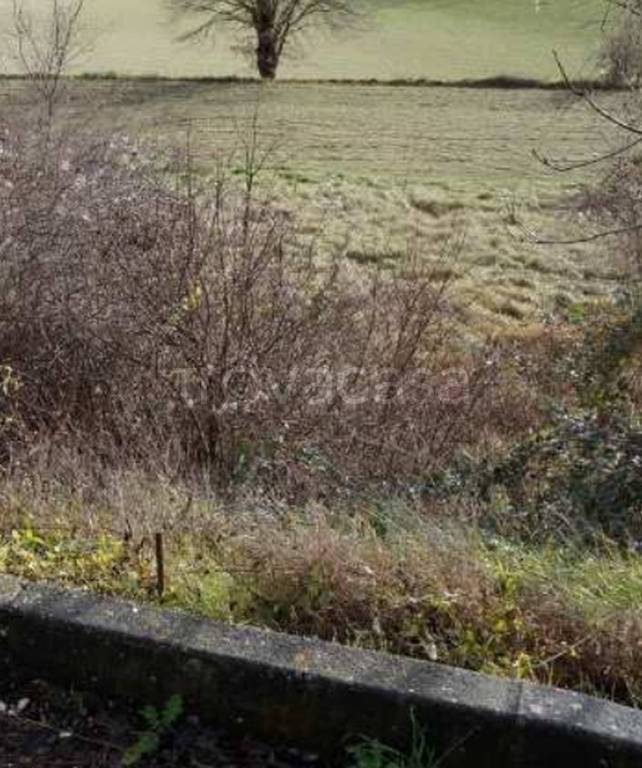 terreno agricolo in vendita a Pergola in zona Pantana