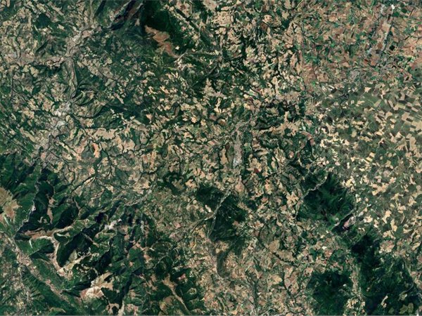 terreno agricolo in vendita a Pergola