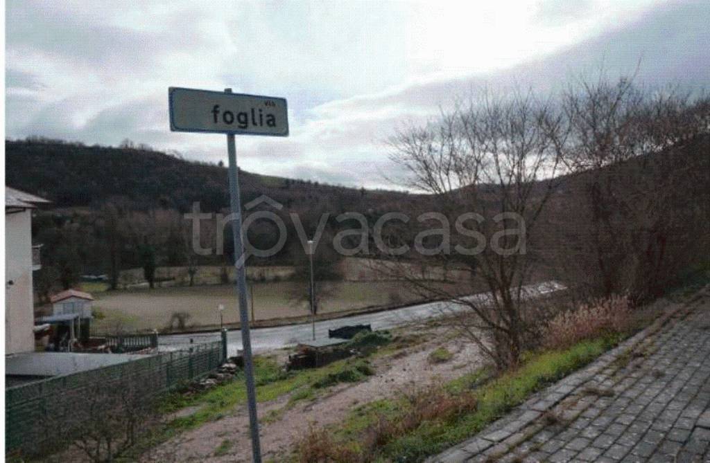 terreno agricolo in vendita a Pergola in zona Pantana
