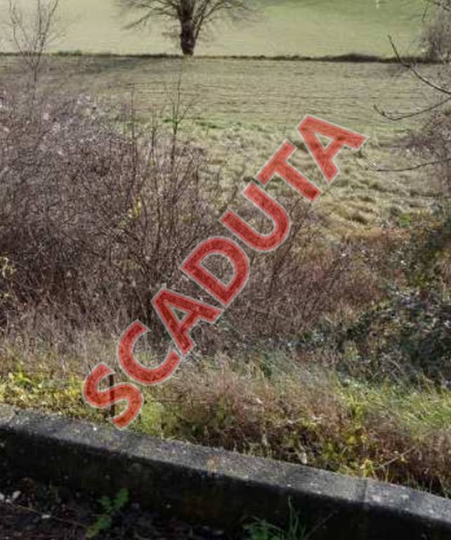 terreno agricolo in vendita a Pergola in zona Pantana