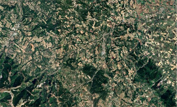 terreno agricolo in vendita a Pergola