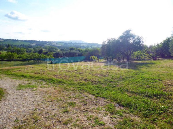 terreno agricolo in vendita a Pesaro in zona Tre Ponti