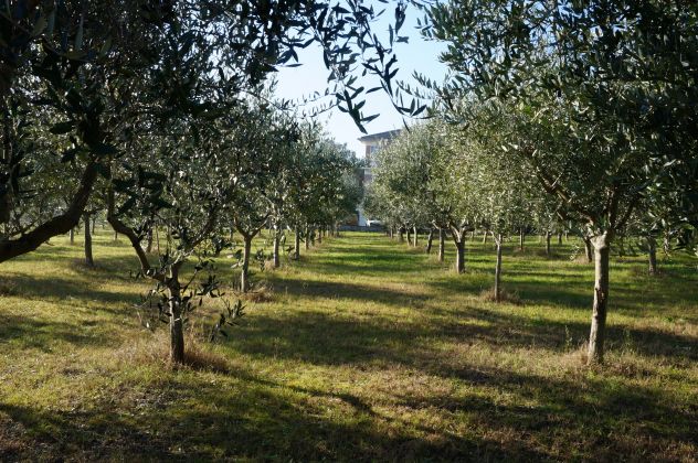 terreno agricolo in vendita a Pesaro in zona Mare