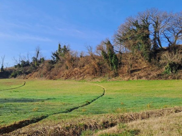 terreno agricolo in vendita a Pesaro in zona Novilara