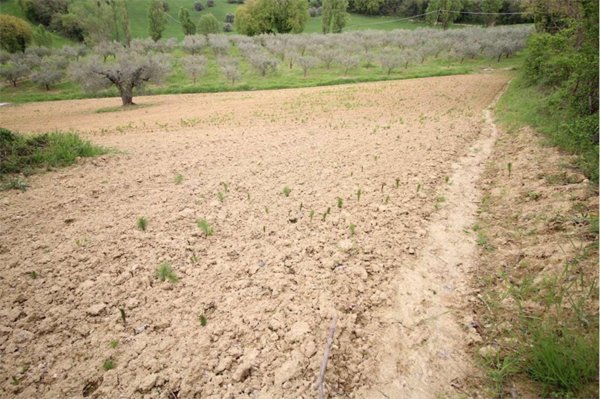 appartamento in vendita a Pesaro in zona Trebbio della Sconfitta