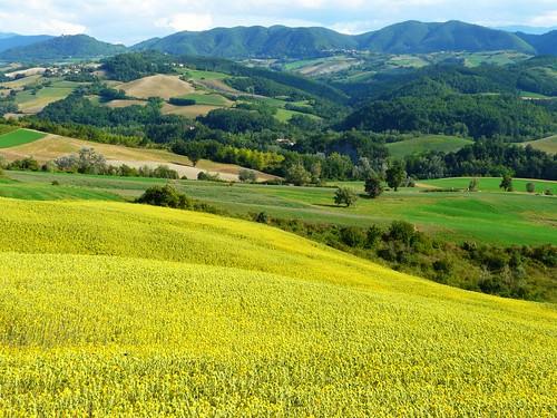 appartamento in vendita a Pesaro