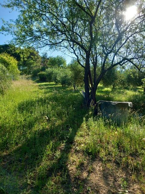 terreno agricolo in vendita a Pesaro in zona Vismara