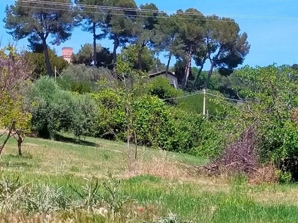 casa indipendente in vendita a Pesaro in zona San Bartolo