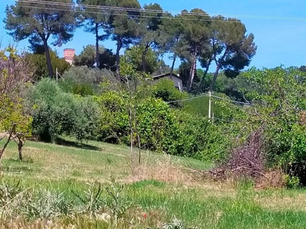 casa indipendente in vendita a Pesaro in zona San Bartolo