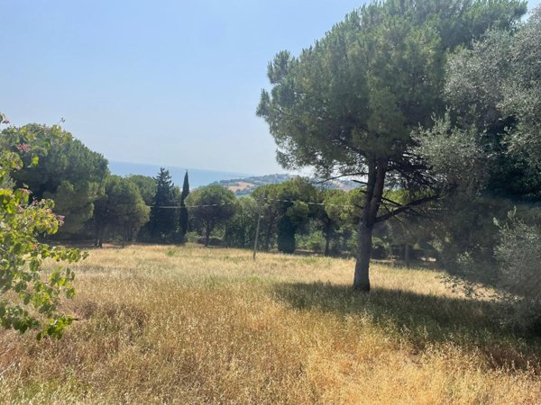 terreno agricolo in vendita a Pesaro in zona Muraglia