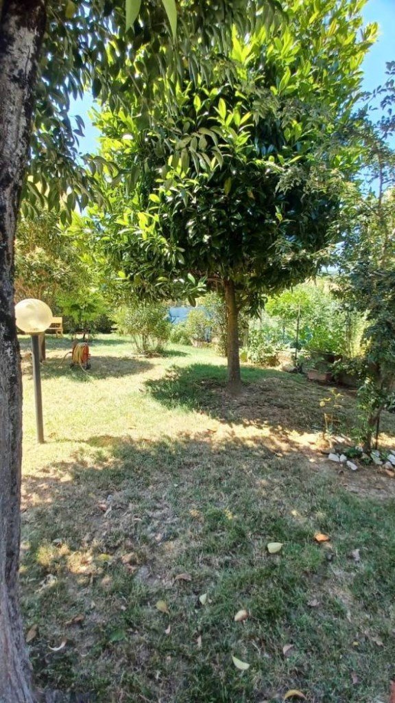 appartamento in vendita a Pesaro in zona Vismara