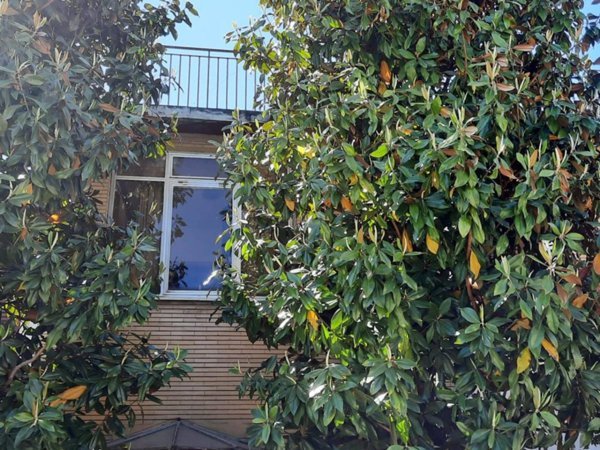 casa indipendente in vendita a Pesaro in zona Mare