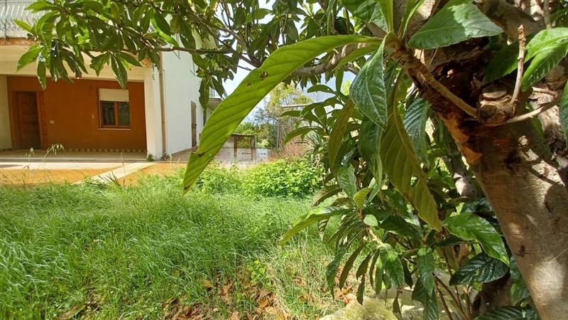 casa indipendente in vendita a Pesaro in zona Villa Ceccolini