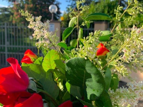appartamento in vendita a Pesaro in zona Villa Fastiggi