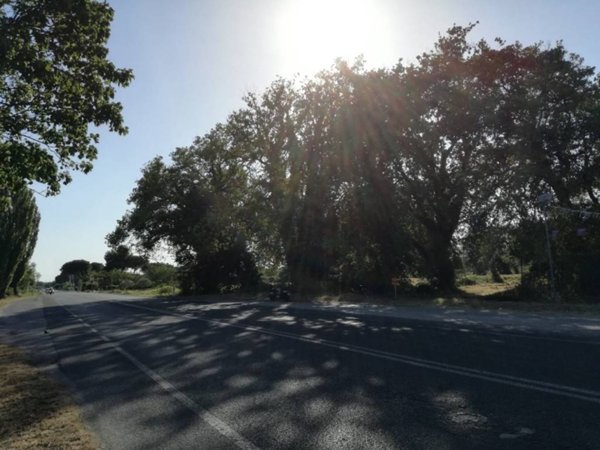 terreno agricolo in vendita a Pesaro in zona Villa Fastiggi
